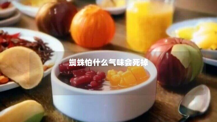 蜘蛛怕什么气味会死掉 蜘蛛怕什么气味会死掉