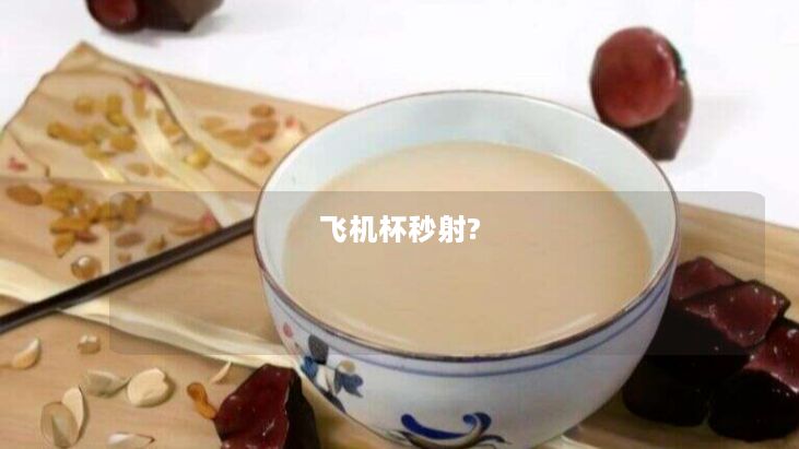飞机杯秒射? 飞机杯秒射?