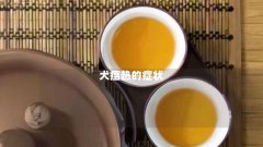 犬瘟热的症状