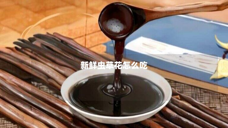 新鲜虫草花怎么吃
