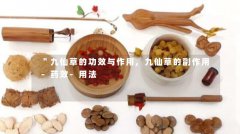 九仙草的功效与作用,九仙草的副作用-药效-用法