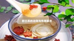野兰荞的功效与作用禁忌