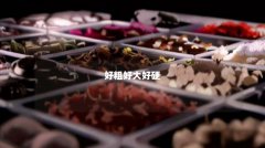 好粗好大好硬