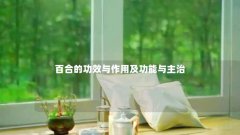 百合的功效与作用及功能与主治