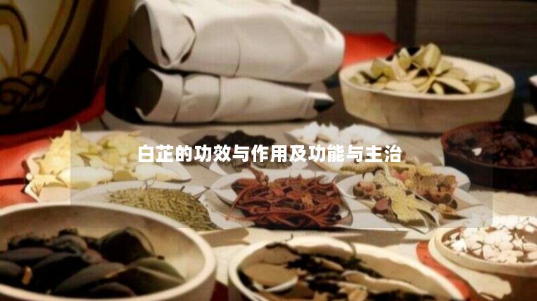 白芷的功效与作用及功能与主治 白芷的功效与作用及功能与主治