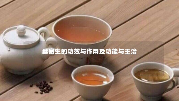 桑寄生的功效与作用及功能与主治 桑寄生的功效与作用及功能与主治