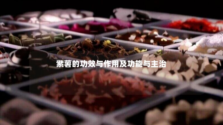 紫薯的功效与作用及功能与主治
