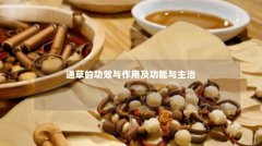 通草的功效与作用及功能与主治