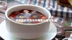 肉苁蓉的功效与作用及功能与主治