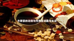 牛蒡茶的功效与作用及功能与主治