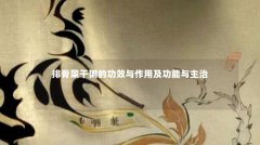 排骨菜干粥的功效与作用及功能与主治