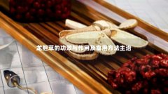 龙胆草的功效与作用及食用方法主治