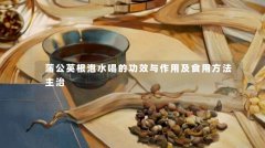 蒲公英根泡水喝的功效与作用及食用方法主治
