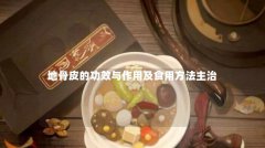 地骨皮的功效与作用及食用方法主治