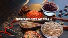 薄荷的功效与作用及食用方法主治