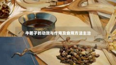 牛蒡子的功效与作用及食用方法主治