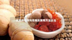 北芪的功效与作用及食用方法主治
