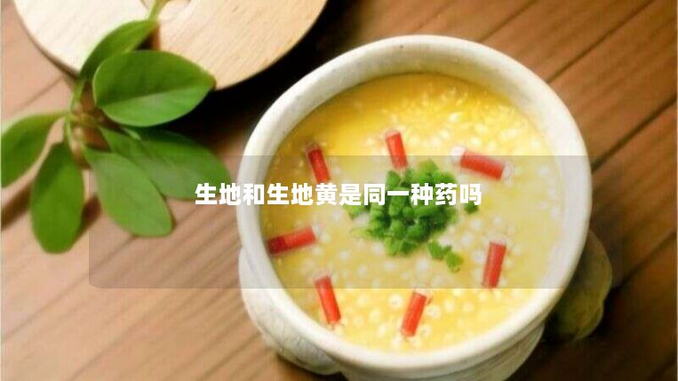 生地和生地黄是同一种药吗 生地和生地黄是同一种药吗
