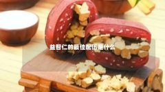 益智仁的最佳配伍是什么