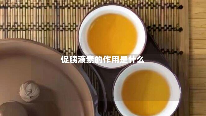 促胰液素的作用是什么 促胰液素的作用是什么