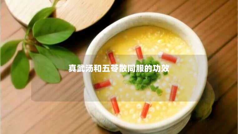 真武汤和五苓散同服的功效 真武汤和五苓散同服的功效