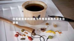 白花蛇舌草的功效与作用及食用方法主治禁忌