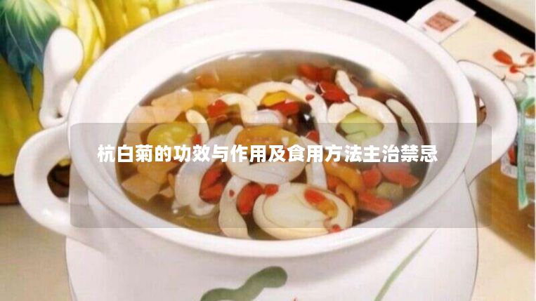 杭白菊的功效与作用及食用方法主治禁忌 杭白菊的功效与作用及食用方法主治禁忌
