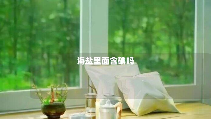 海盐里面含碘吗 海盐里面含碘吗