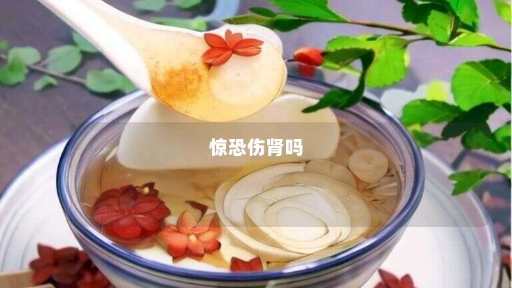 惊恐伤肾吗 惊恐伤肾吗