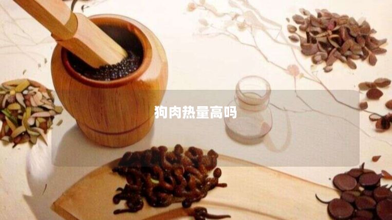 狗肉热量高吗 狗肉热量高吗