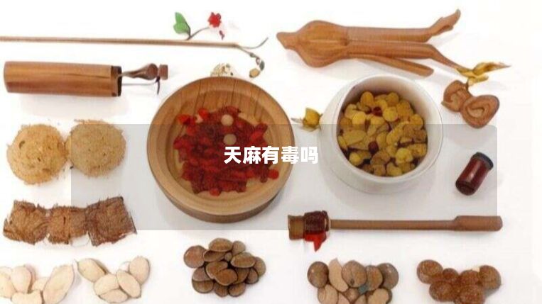天麻有毒吗 天麻有毒吗