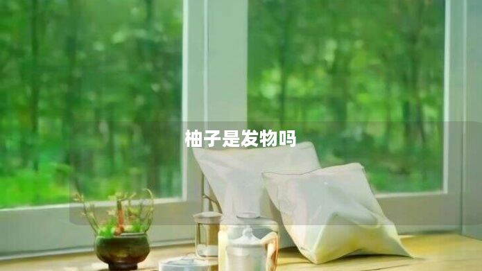 柚子是发物吗 柚子是发物吗