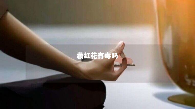藏红花有毒吗
