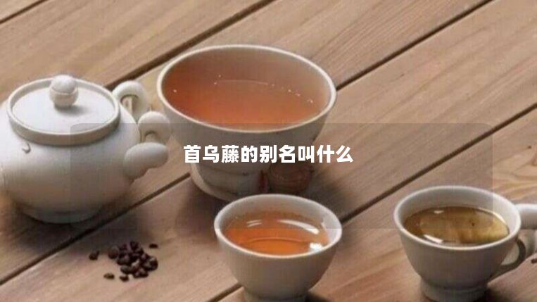 首乌藤的别名叫什么 首乌藤的别名叫什么