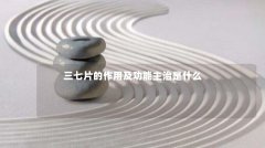 三七片的作用及功能主治是什么