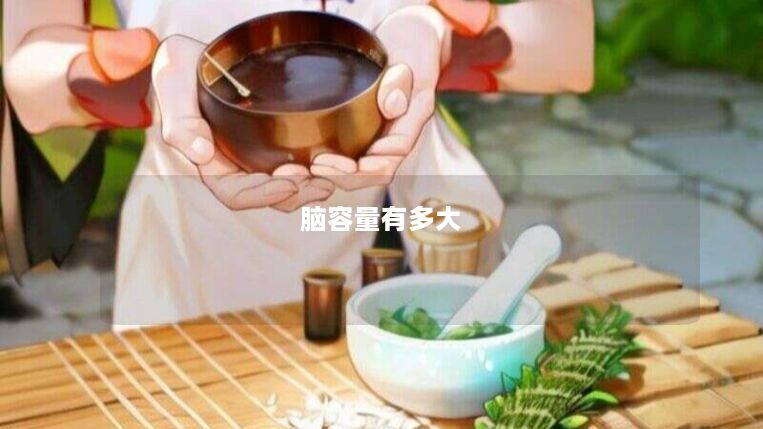 脑容量有多大