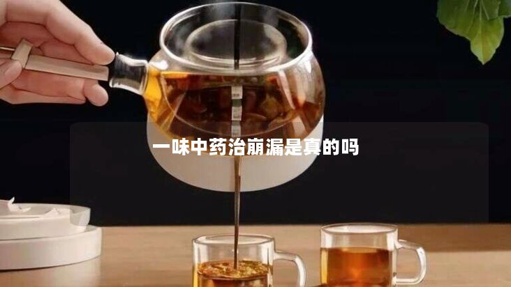 一味中药治崩漏是真的吗 一味中药治崩漏是真的吗