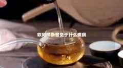 吹风样杂音见于什么疾病