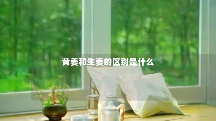 黄姜和生姜的区别是什么 黄姜和生姜的区别是什么