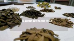 良姜的功效与作用是什么?