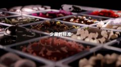 少尿的标准