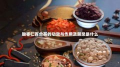 酸枣仁百合茶的功效与作用及禁忌是什么