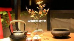 未病指的是什么
