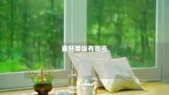 囊胚等级有哪些