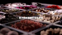猪沙肝的营养价值与功效