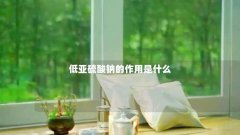 低亚硫酸钠的作用是什么