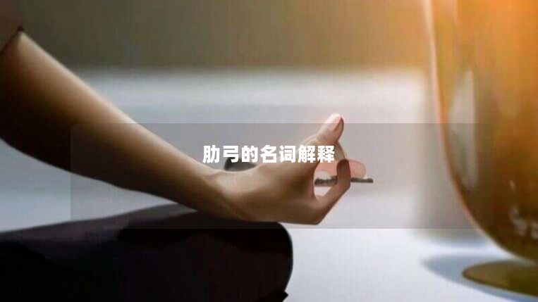 肋弓的名词解释 肋弓的名词解释