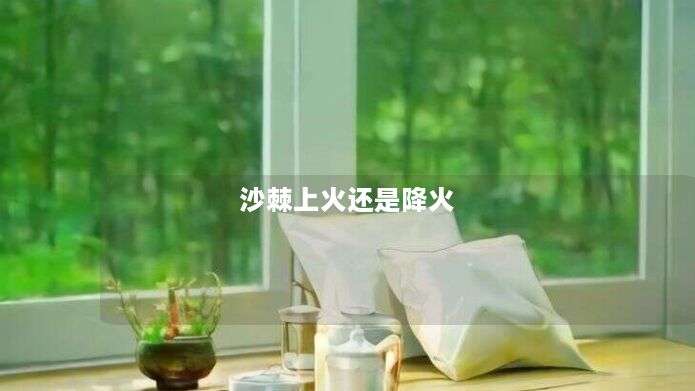 沙棘上火还是降火 沙棘上火还是降火