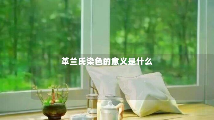 革兰氏染色的意义是什么 革兰氏染色的意义是什么