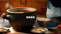 黄体酮低